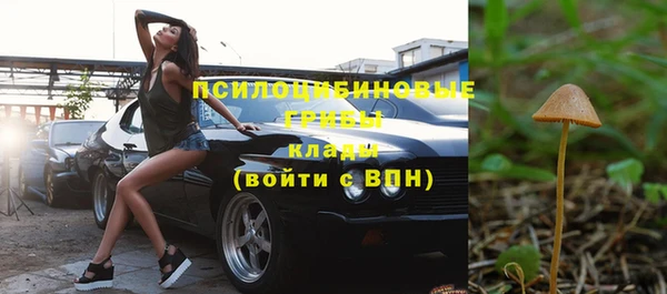 стаф Пересвет