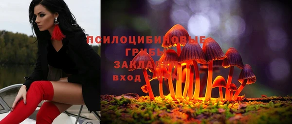 мяу мяу мука Переславль-Залесский