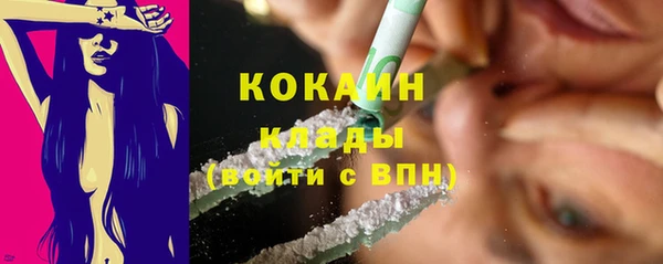 стаф Белая Холуница