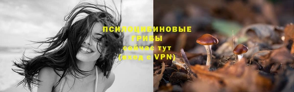 mdpv Осташков