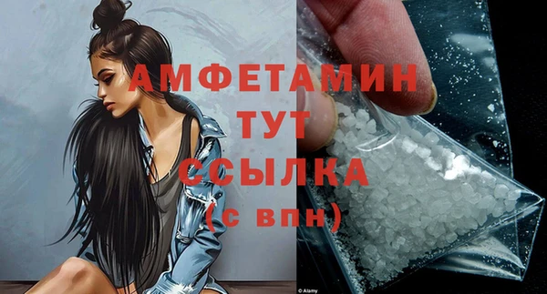 стаф Пересвет